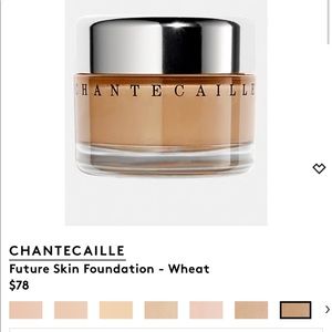 Chantecaille Future skin foundation